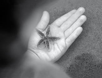 Similar image 8014917