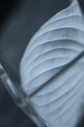 Similar image 8014919