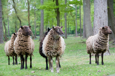 Similar image 8014923