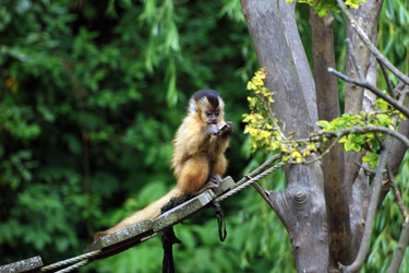 Similar image 8014931