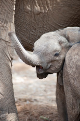 Similar image 8014933