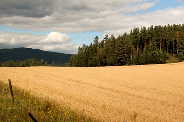 Similar image 8014935