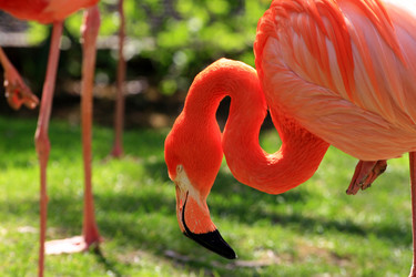 Similar image 8014934