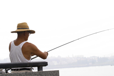 Similar image 8014936