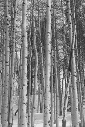 Similar image 8014940