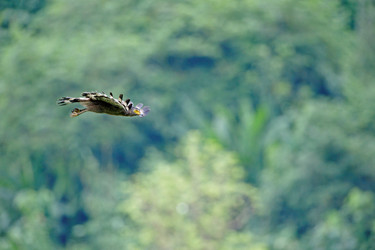 Similar image 8014945