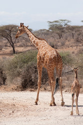 Similar image 8014948