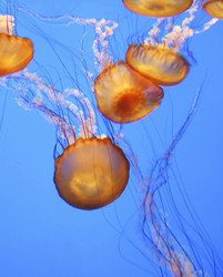 Similar image 8014953