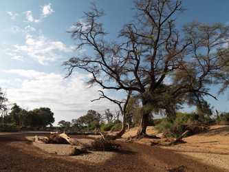 Similar image 8014962