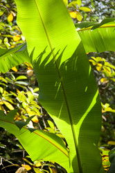 Similar image 8014969