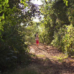 Similar image 8014972