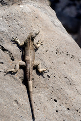 Similar image 8015006