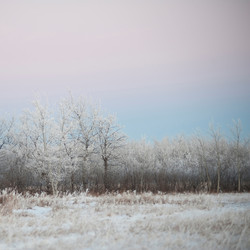 Similar image 8015008