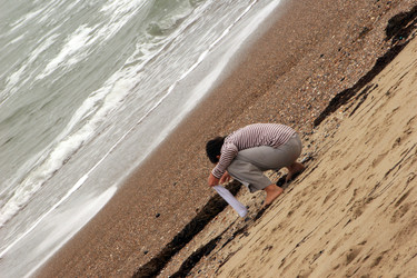 Similar image 8015016