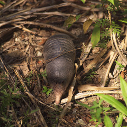 Similar image 8015020