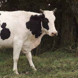 Similar image 8015022