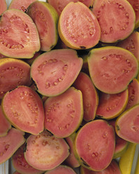 Similar image 8015027