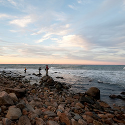 Similar image 8015028