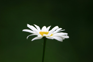 Similar image 8015034