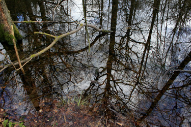 Similar image 8015055