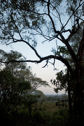 Similar image 8015057