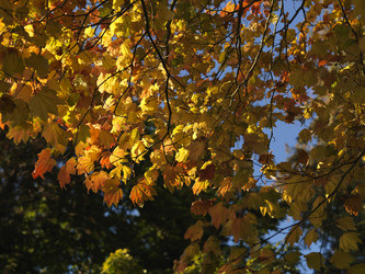 Similar image 8015078