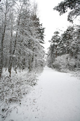 Similar image 8015088