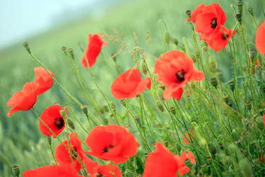 Similar image 8015096