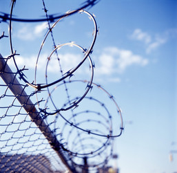 Similar image 8015100