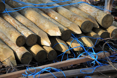 Similar image 8015105