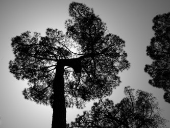 Similar image 8015110