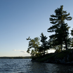 Similar image 8015113