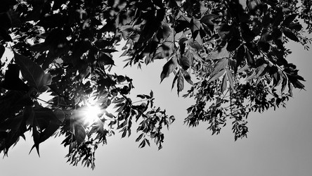 Similar image 8015119