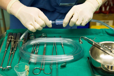 Similar image 8015120