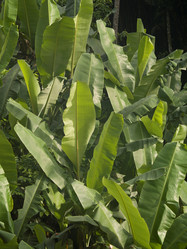 Similar image 8015129