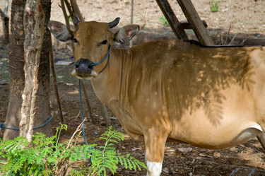 Similar image 8015131