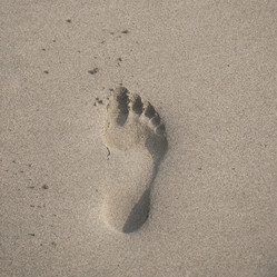 Similar image 8015151