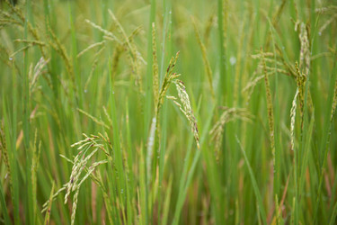 Similar image 8015154