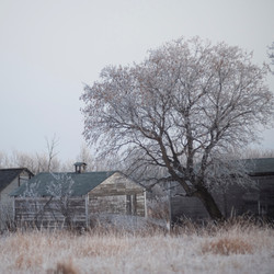 Similar image 8015153