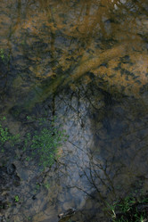 Similar image 8015157