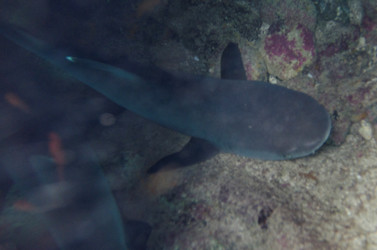 Similar image 8015159