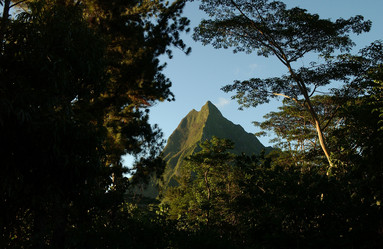 Similar image 8015196