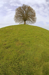 Similar image 8015201