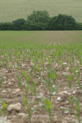 Similar image 8015207