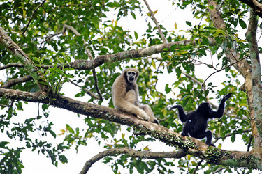 Similar image 8015238