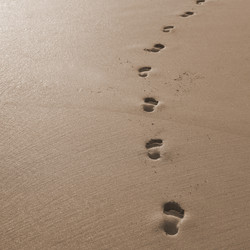 Similar image 8015252