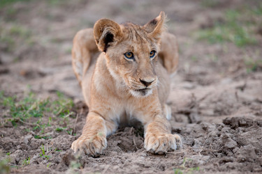 Similar image 8015255