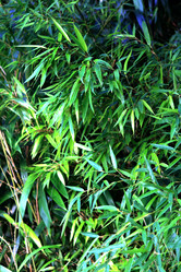 Similar image 8015261