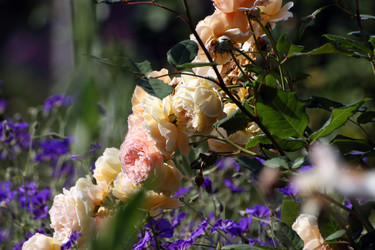 Similar image 8015266