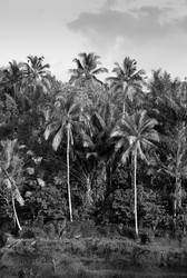 Similar image 8015268